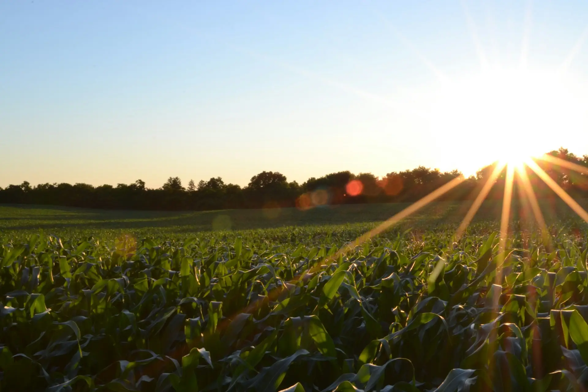 - North 40 Ag to till or no-till? why not tilling your field can lead to long-term success