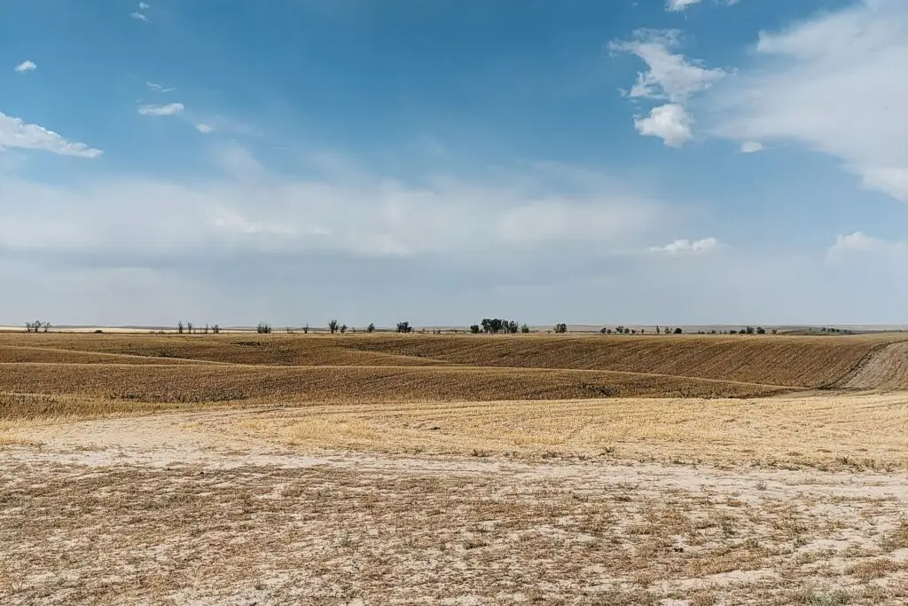 colorado state university 1998 dryland agriculture research report
