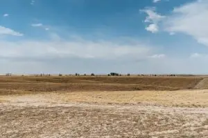 - North 40 Ag - North 40 Ag colorado state university 1998 dryland agriculture research report