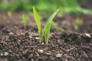 - North 40 Ag - North 40 Ag combining no-till with intensive crop rotations stops organic matter loss and builds soil carbon